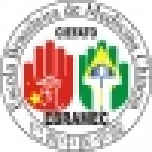 Escola Brasileira de Medicina Chinesa - EBRAMEC